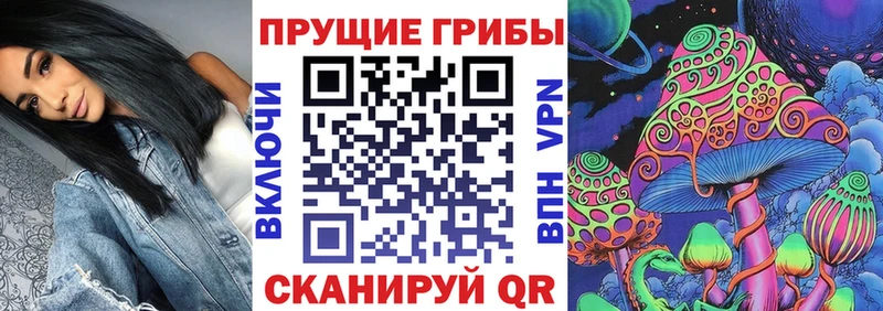 Галлюциногенные грибы GOLDEN TEACHER магазин наркотиков Нестеров
